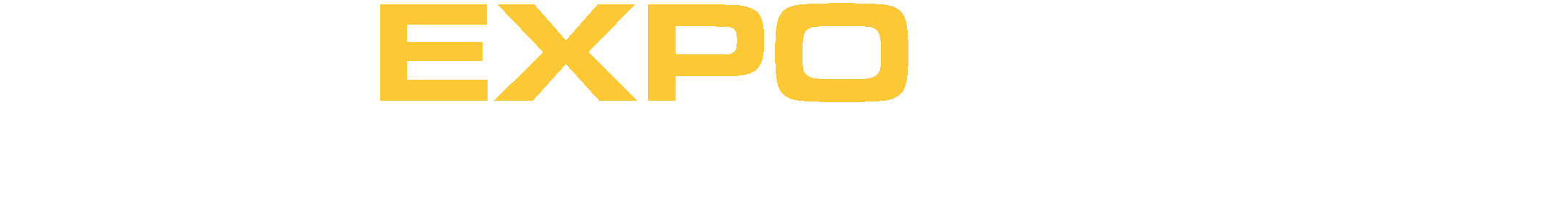 The Expo Group